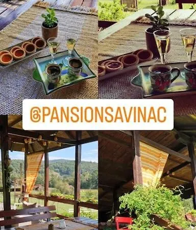 Pansion Savinac *