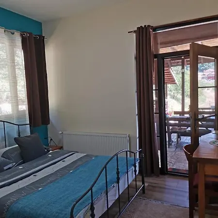 Apartment Pansion Savinac *
